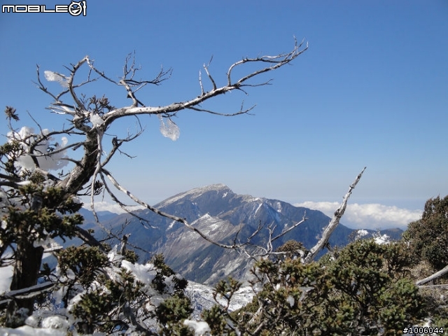 風起雲湧．雪舞向陽。