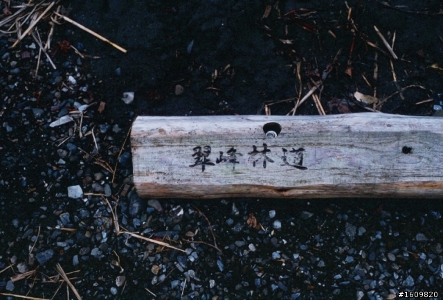 愛拍照的素人自問自答(圖少砲多)