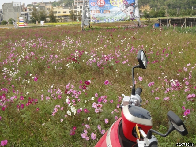 金牌妹...QC一人環島...坎坷之老天爺阿!!!!!!