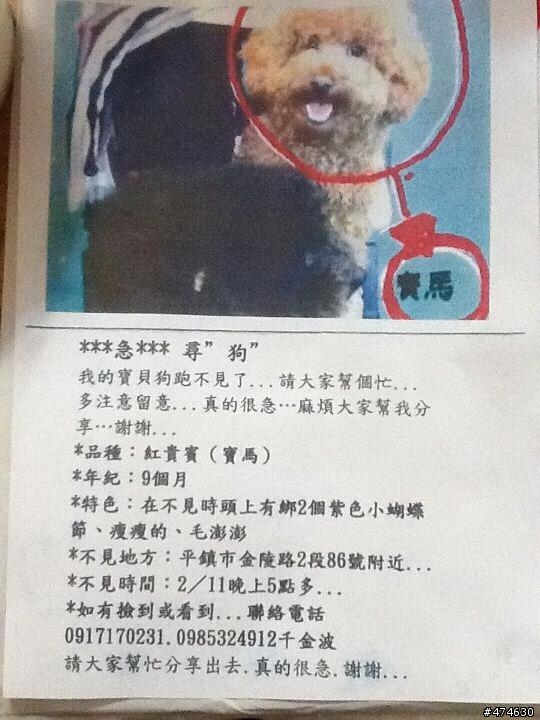 急,請幫我朋友協尋他的寶貝狗狗