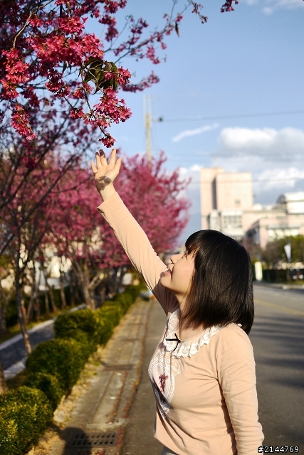 2012賞櫻去(歡迎一起來蓋樓)