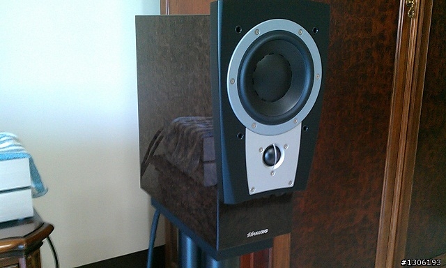 Dynaudio Confidence C1 Signature開箱