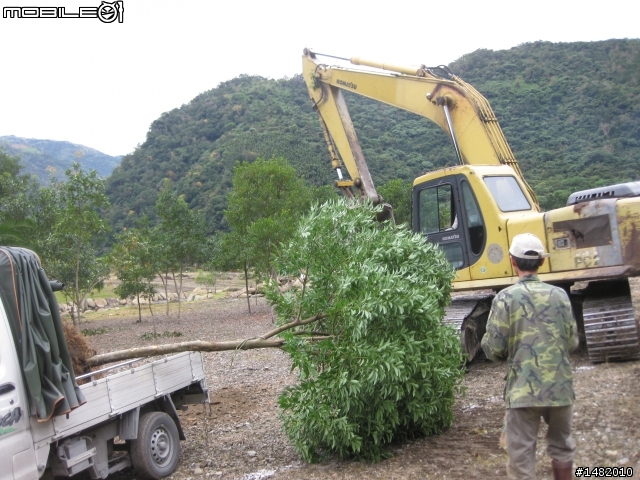 寒假南澳巴漾種樹趣~~