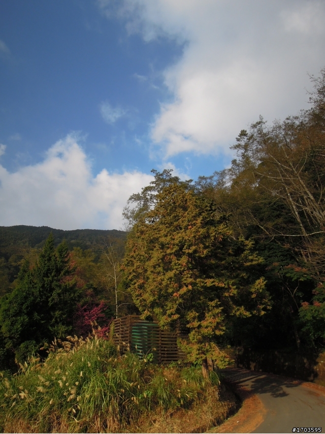 大雪山賞花賞鳥旅