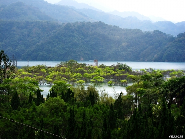 阿姆坪沉沒小島??