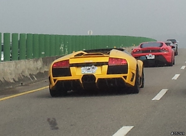 2/4去後龍吃飯~在苗栗的東西向快速道路遇到的~馬+牛+蛙