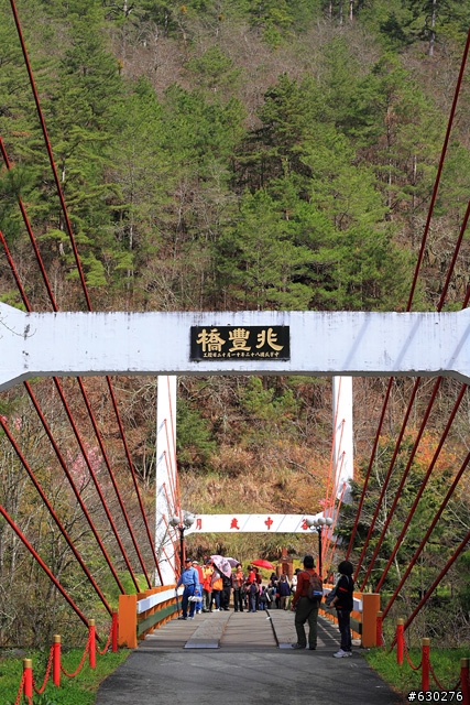 2012.02.22＿武陵農場～櫻花實況～（圖多請見諒）