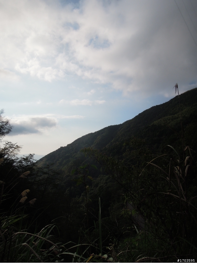 大雪山賞花賞鳥旅