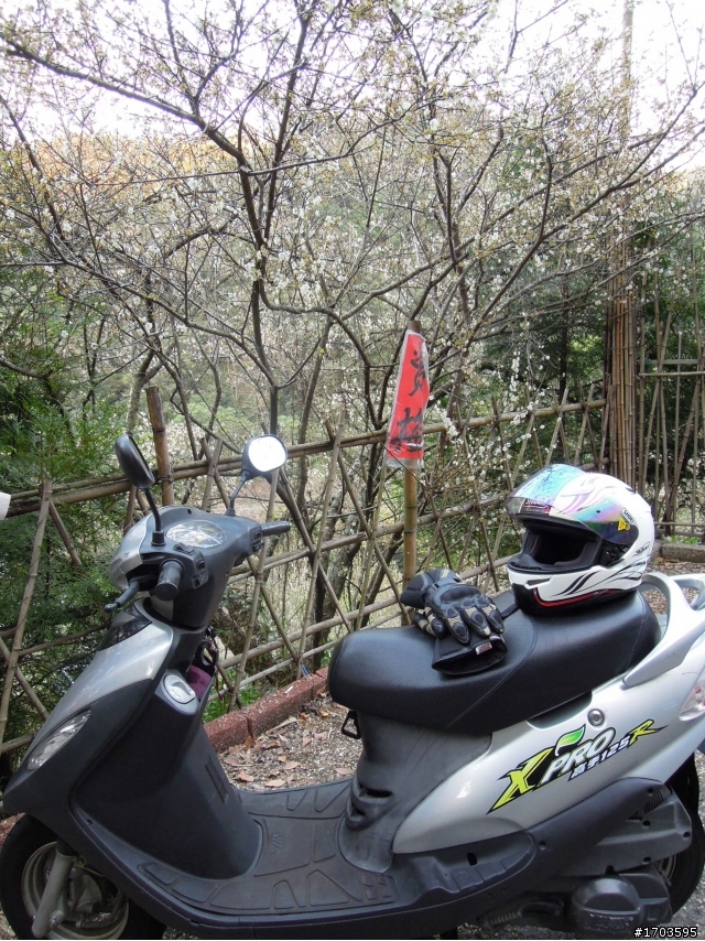 大雪山賞花賞鳥旅