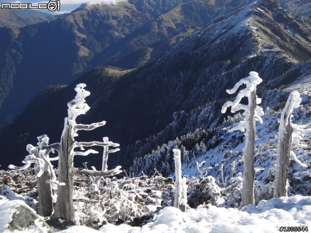 風起雲湧．雪舞向陽。