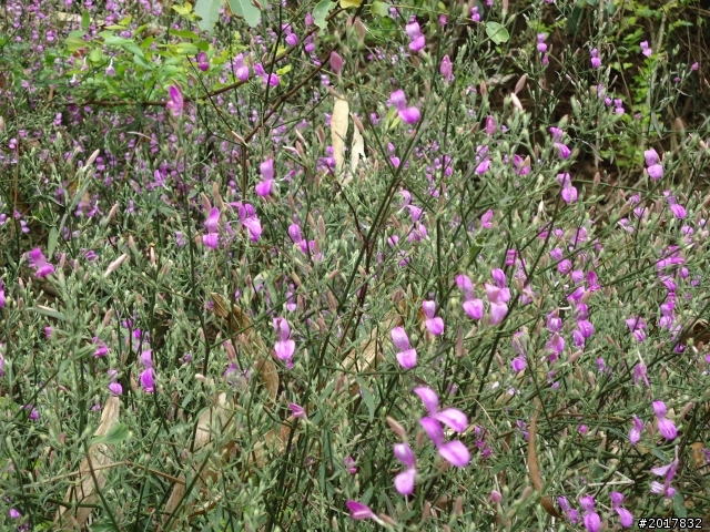 2012/2/19南橫西段梅山口