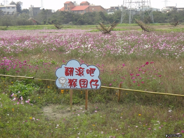金牌妹...QC一人環島...坎坷之老天爺阿!!!!!!