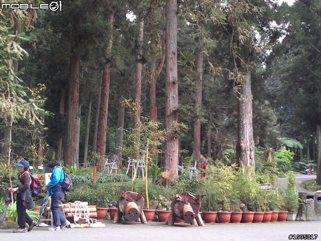 南投竹山-溪頭妖怪村-之旅展小地雷