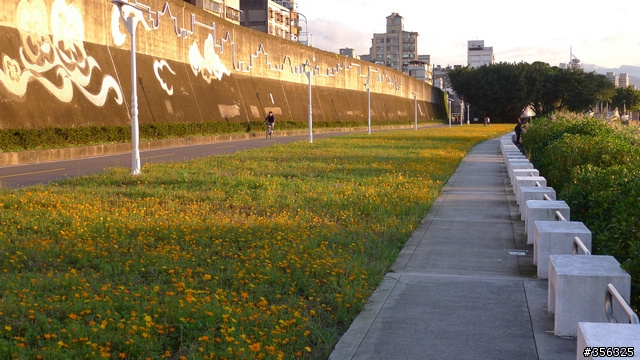 [遊記] 2012--三芝櫻木花道，「後會有騎」！