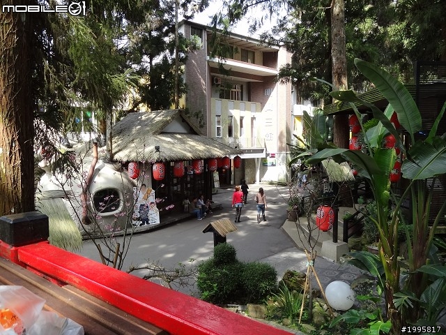 南投竹山-溪頭妖怪村-之旅展小地雷