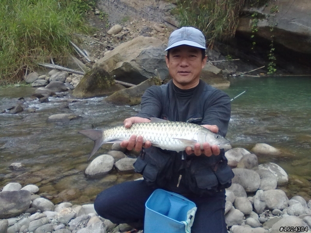 溪釣難得一見的大魚(42樓有新貨色)