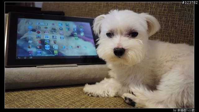 開箱。IPEVO Cushi 2 客廳專用 iPad 2 靠枕
