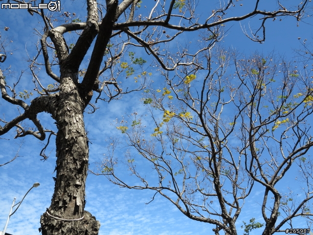 [更新]Canon G1X隨便開箱 + 近拍測試+新增試拍照(圖多慎入)
