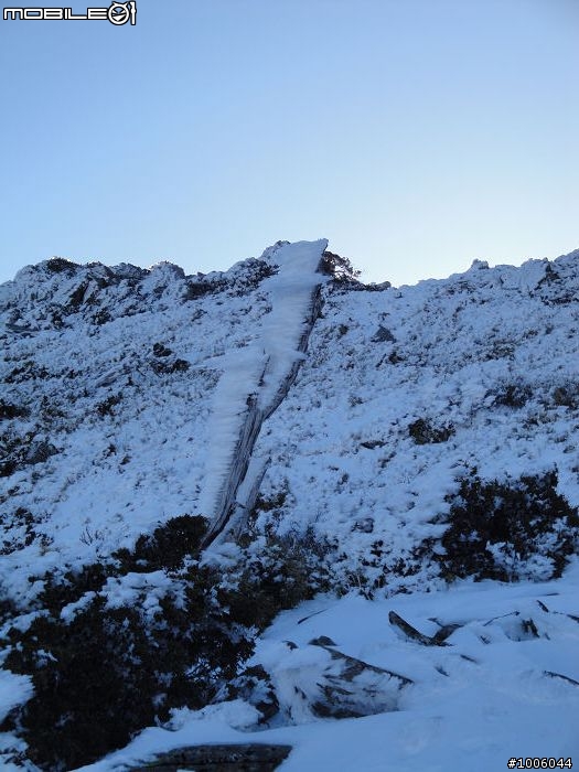 風起雲湧．雪舞向陽。