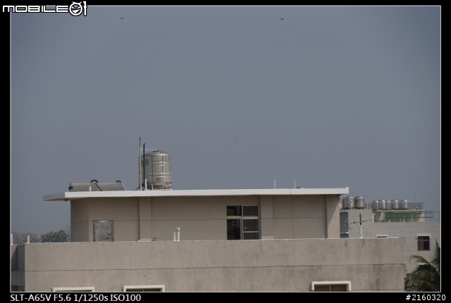 a65搭配一鏡到底DT18-250mm放大分享