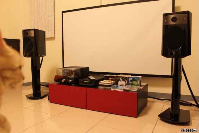 [開箱] Focal。Unison。Cyrus - 貓咪也陶醉的小小音樂廳