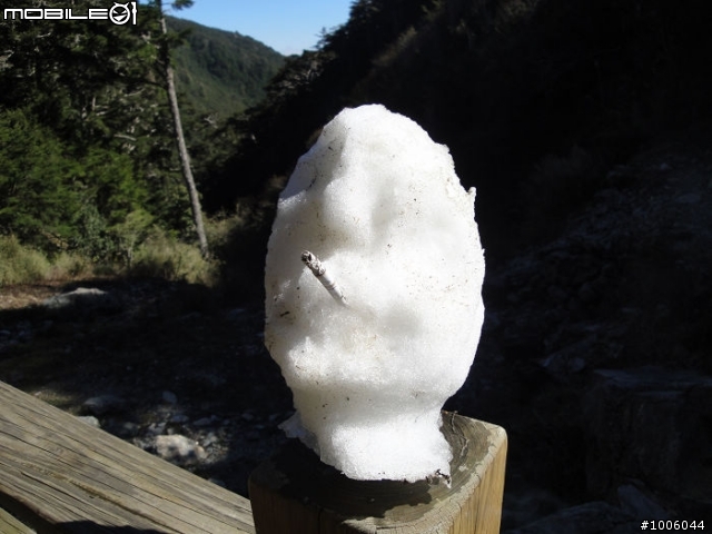 風起雲湧．雪舞向陽。