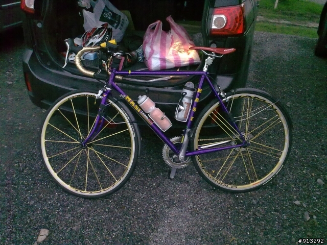 老MASI鋼管車換上wheeler鋼管車分享