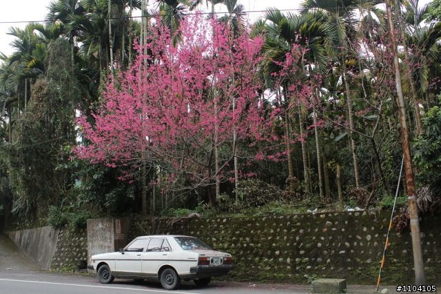 2012-02-13 探索縣道131~!(144P)