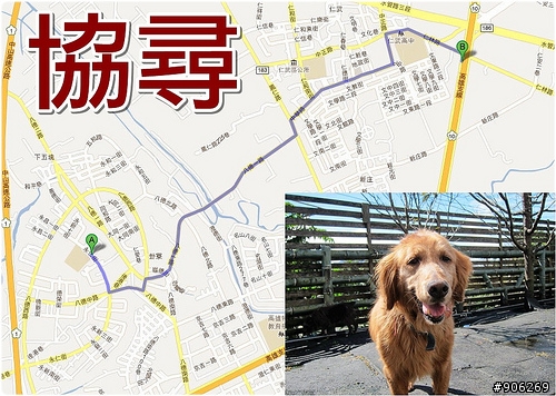 「協尋」剛從台北移至高雄中途的黃金獵犬奶奶，於仁武永仁街往亞柏加油站方向遺失，身上無配件，有晶片，懇請幫忙協尋～20120224