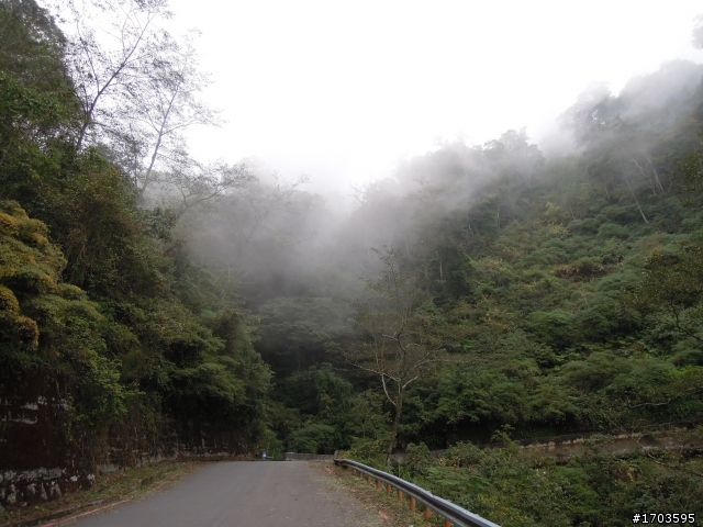 大雪山賞花賞鳥旅