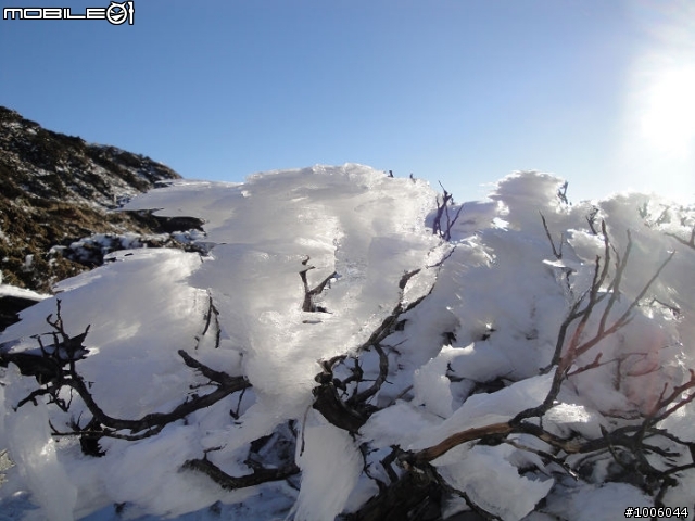 風起雲湧．雪舞向陽。