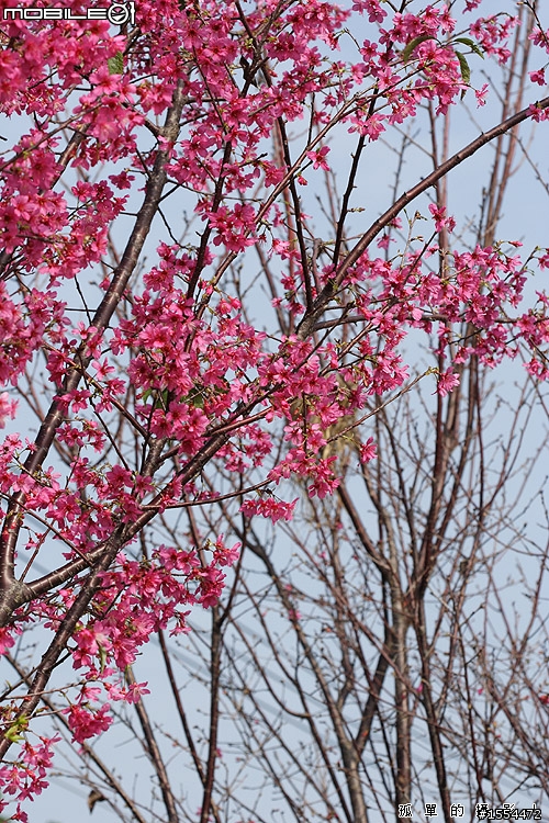 我的老戰友-CANON EOS 350D