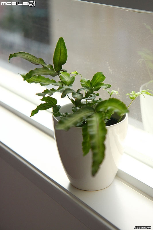 [開箱]  30 年老屋樓層翻新 - 單身漢的北歐風小居