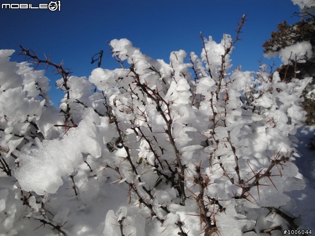 風起雲湧．雪舞向陽。