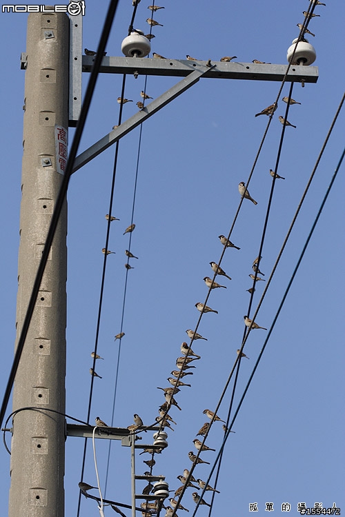 我的老戰友-CANON EOS 350D