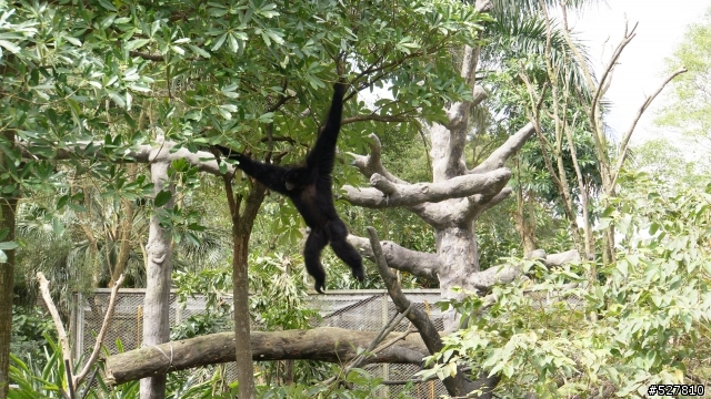 [動物園實拍]TAMRON E 18-200(B011)