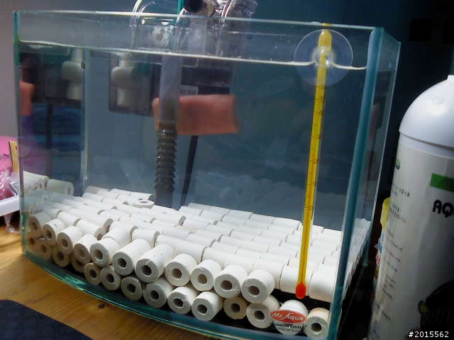 8"吋"缸重設水晶蝦缸!  陸續增加~