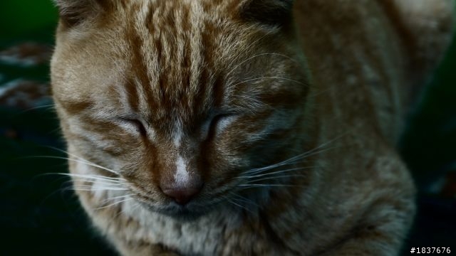 Panasonic G10隨手攝