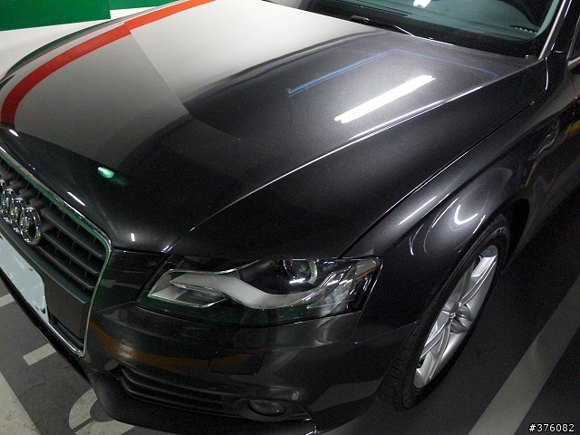 AUDI {米寶}登場啦!!