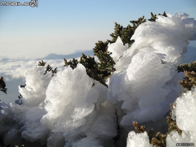 風起雲湧．雪舞向陽。