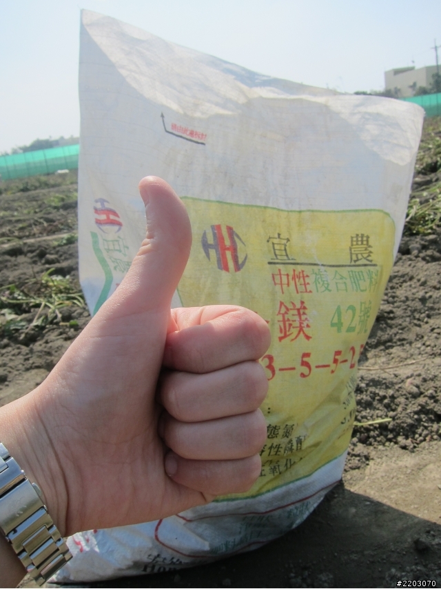 2012.02/04-02/14 -- 【衝阿~熱血吧!素食客】- 十一天環島之旅- two day