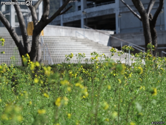 [更新]Canon G1X隨便開箱 + 近拍測試+新增試拍照(圖多慎入)