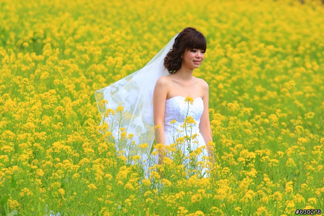 2012.02.22＿武陵農場～櫻花實況～（圖多請見諒）