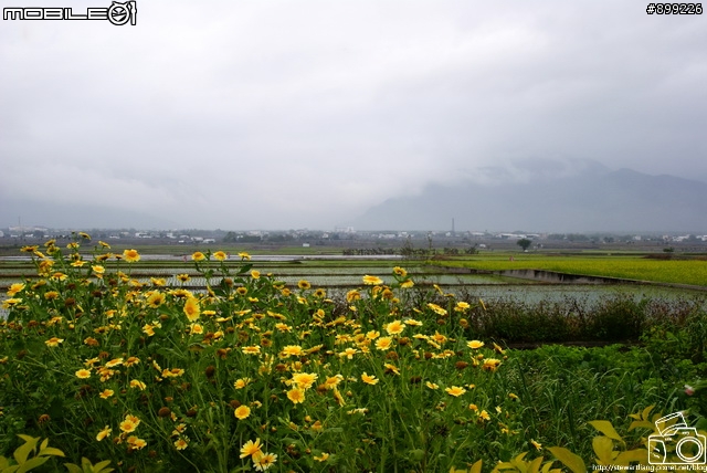 【2012走!我們去花東機車露營四日遊[112.p]--2/8號更新