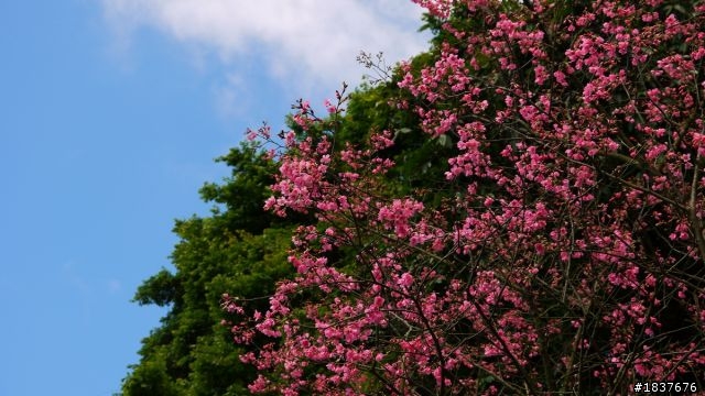Panasonic G10隨手攝