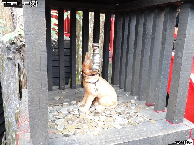 南投竹山-溪頭妖怪村-之旅展小地雷