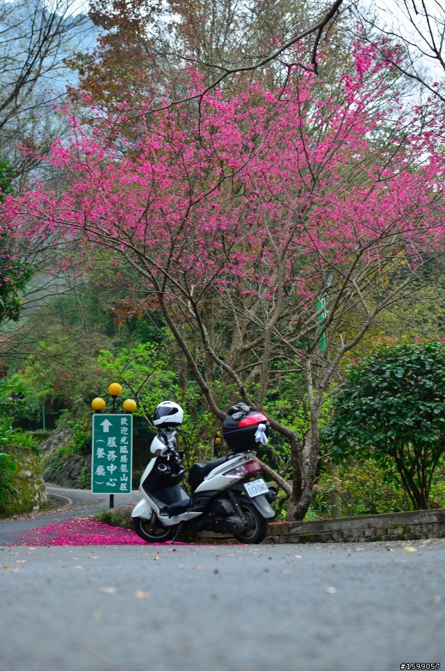 2012/02/13-16日 1198.5公里 我一個人 騎的快樂 玩的精采