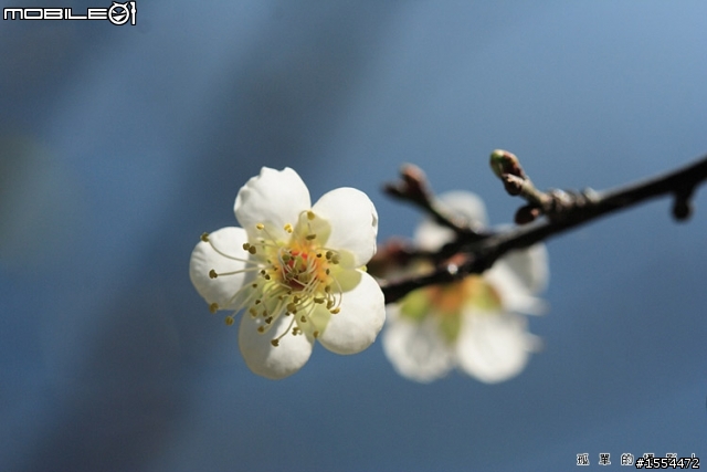 我的老戰友-CANON EOS 350D