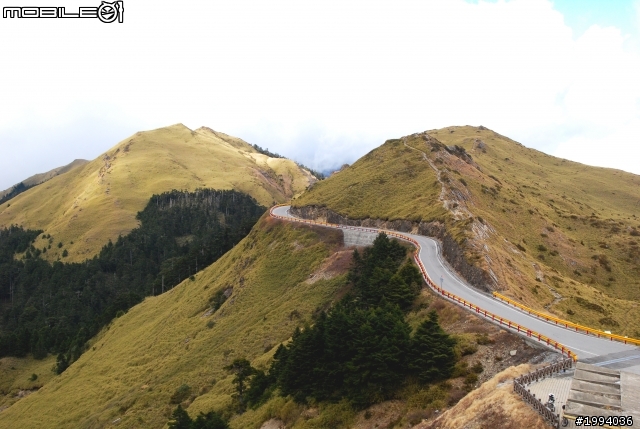 黑白神駒勇闖合歡溪