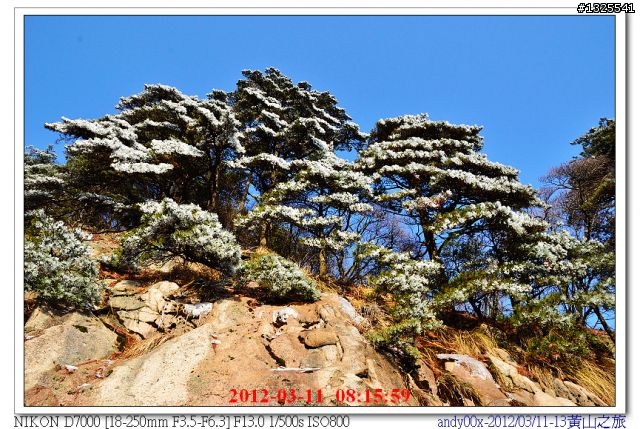 大陸黃山自助五日行